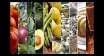 Cibo per la Mente: La Neuro-Nutrizione È la Nuova Frontiera del Benessere nel 2025
