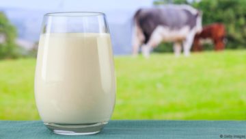 The importance of calcium to loose Fat