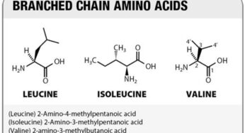 Aminoacidi ramificati e sport