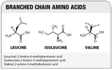 Aminoacidi ramificati e sport