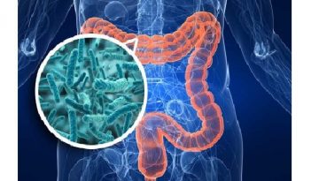 RELAZIONE MICROBIOTA INTESTINALE E AUTISMO