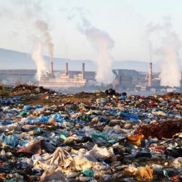 Pollution and the effect of our actions
