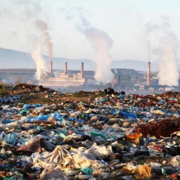 INTERFERENTI E INQUINANTI NEGLI ALIMENTI