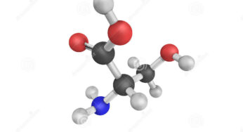 SERINE SUPPLEMENT AND PREVENTION IN DIABETES