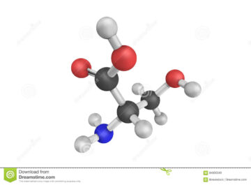 SERINE SUPPLEMENT AND PREVENTION IN DIABETES