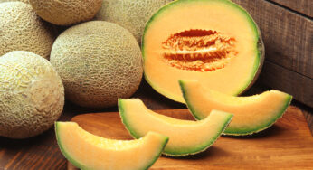 cantaloupe, properties
